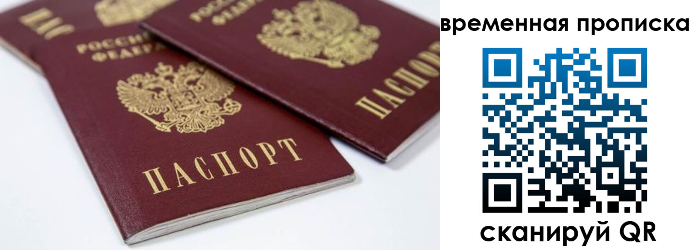 прописка регистрация в Новомосковске